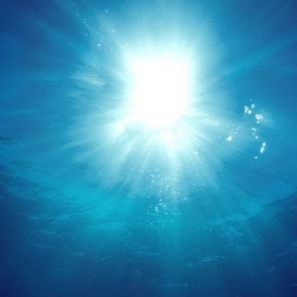 Meet your Posher, Elise